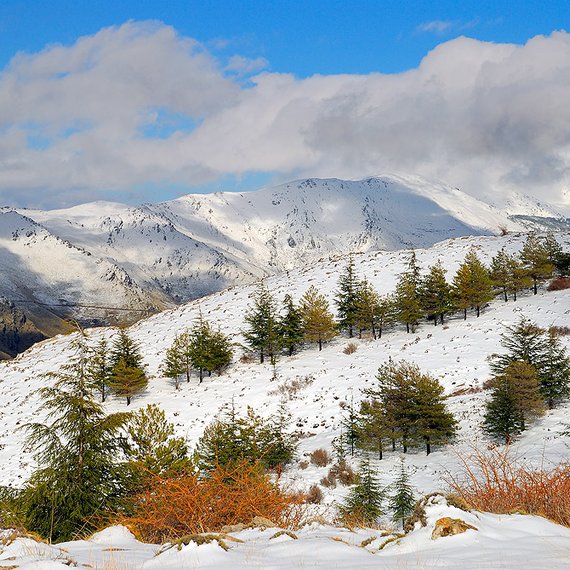 Tour al Parque Natural de Sierra Nevada